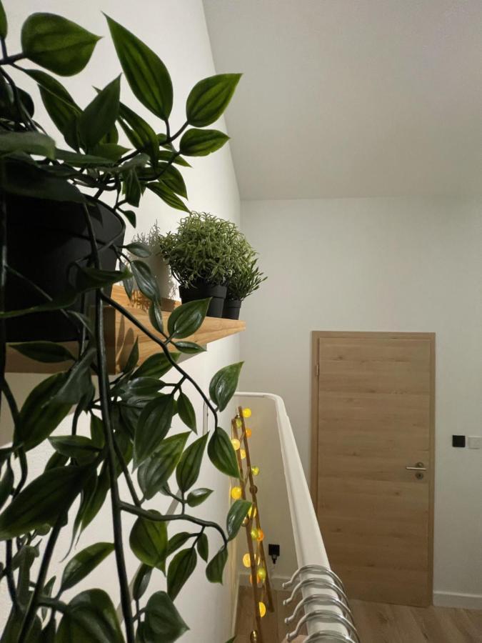 Patenier Hidden Garden 1Bdr With Garden Liege Exterior photo